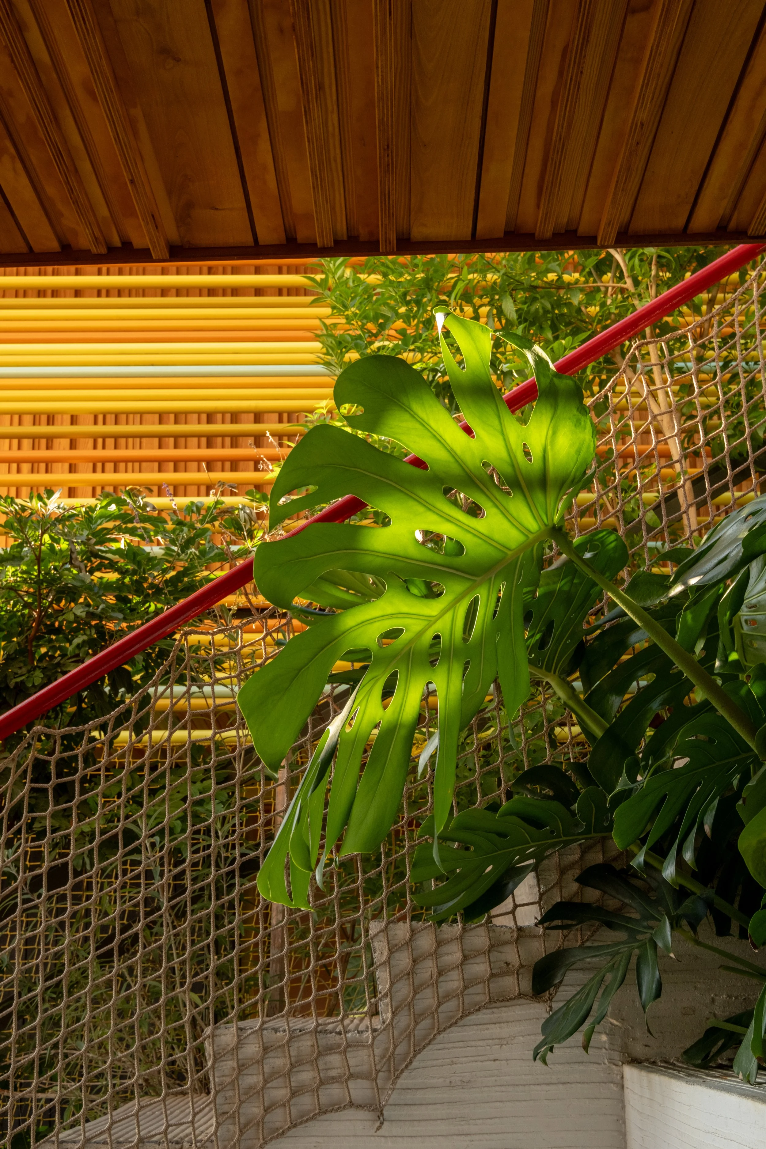 Diego Cano Lasso-025.jpg