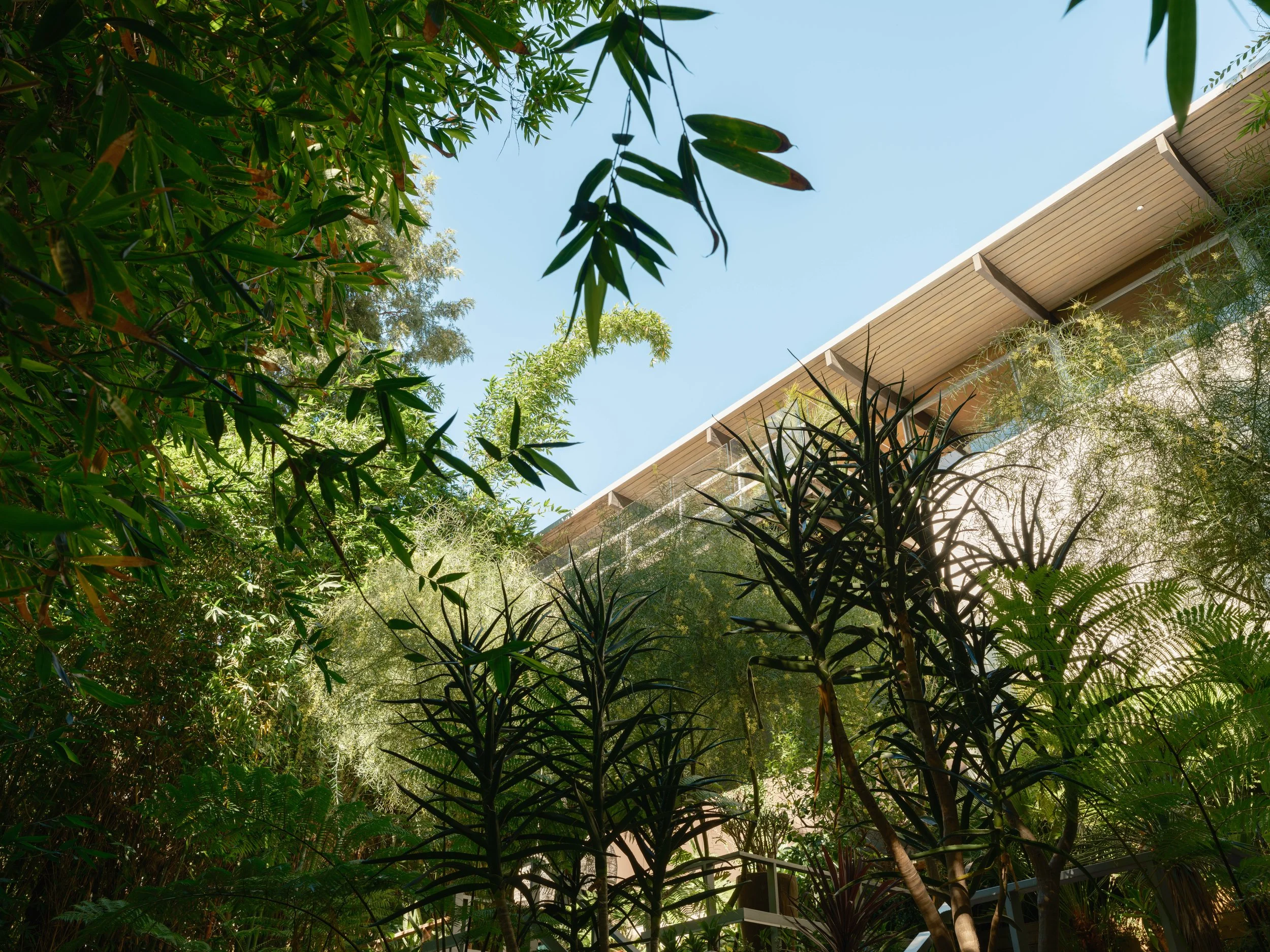 Diego Cano Lasso-125.jpg