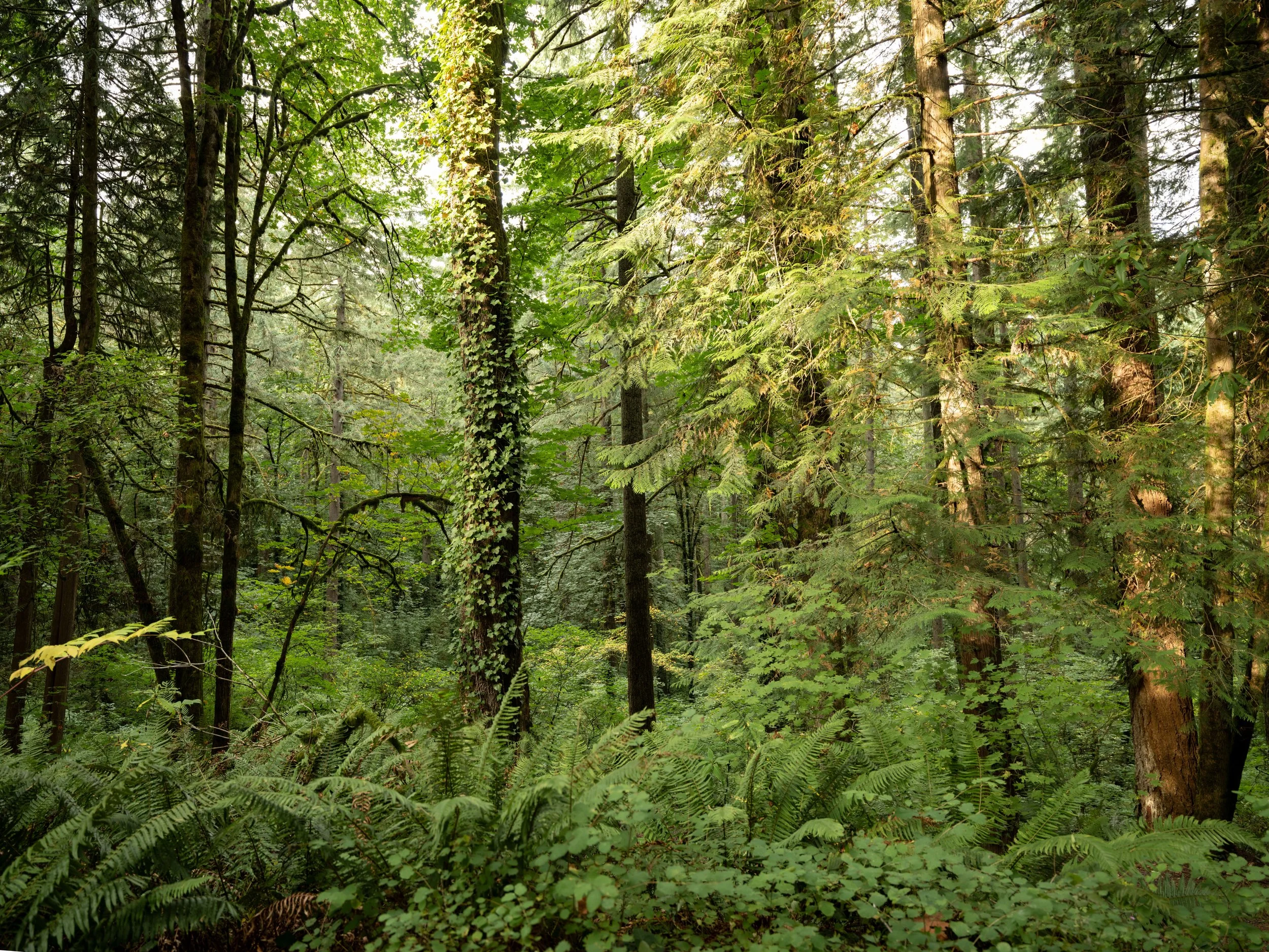 Cottrell House-101.jpg