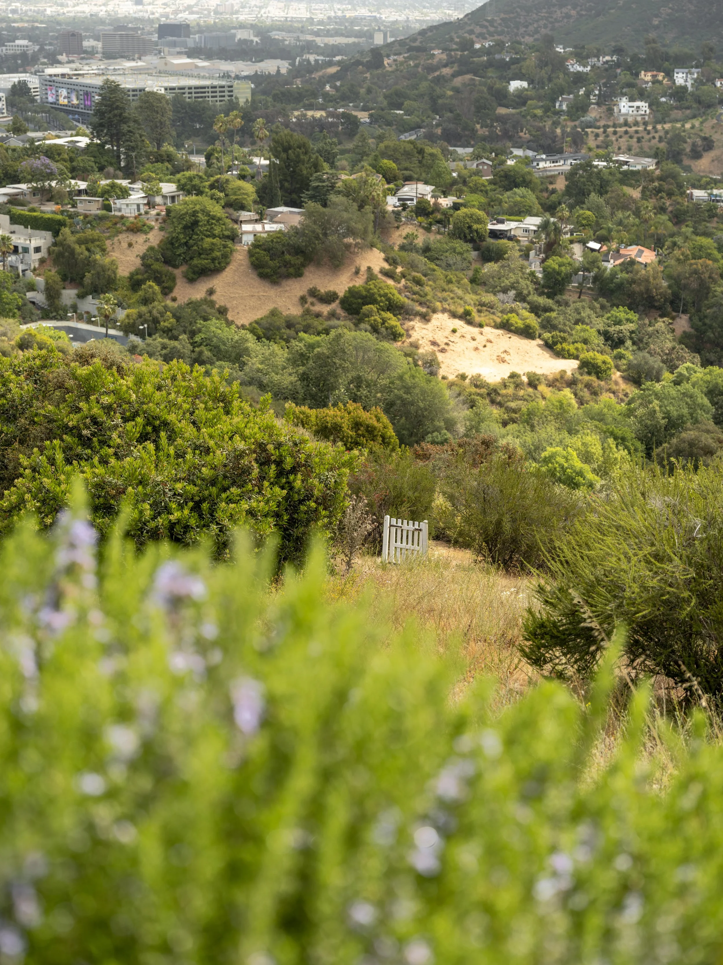 California House-08.jpg