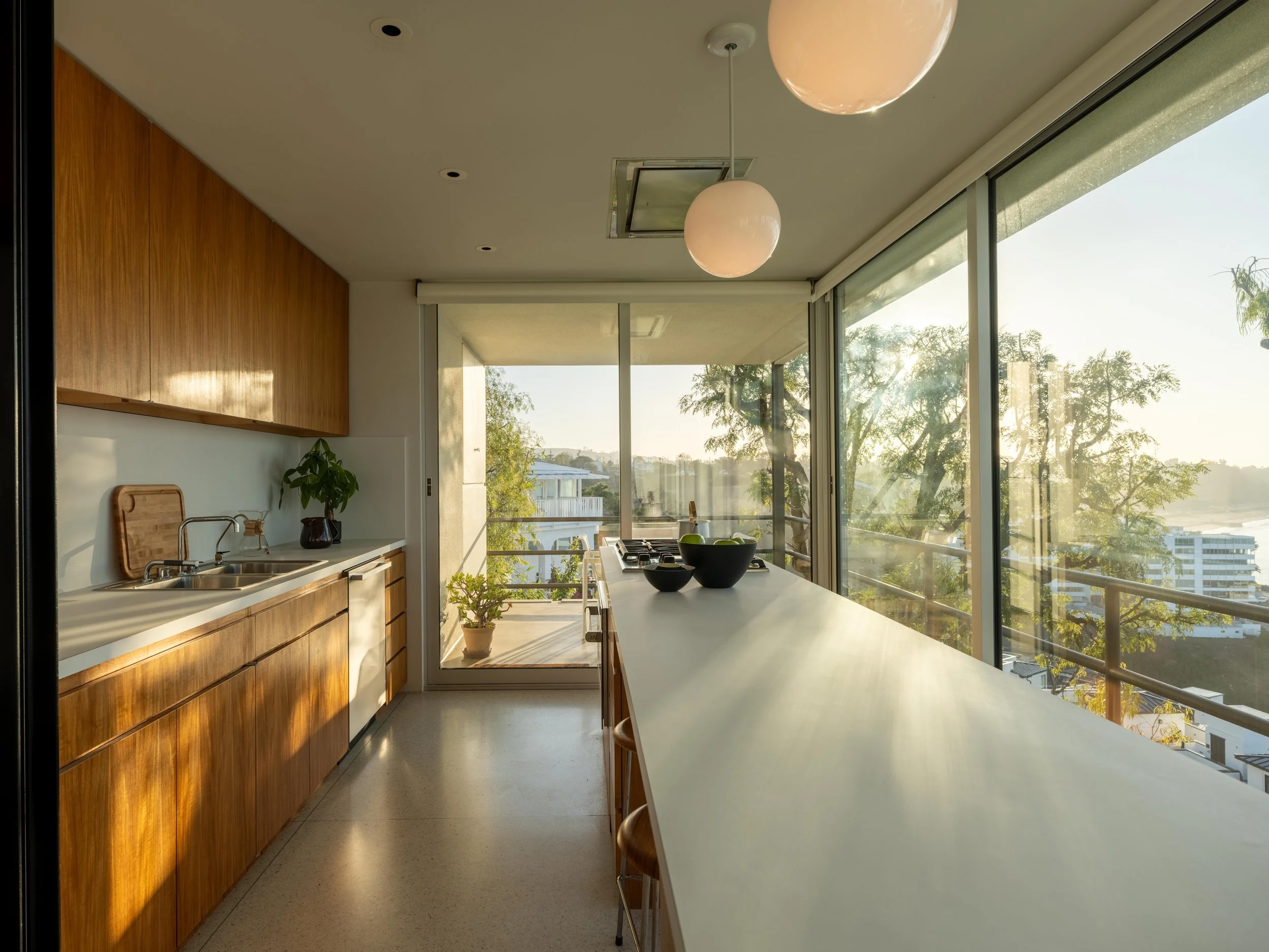 Beagles  House-03.jpg