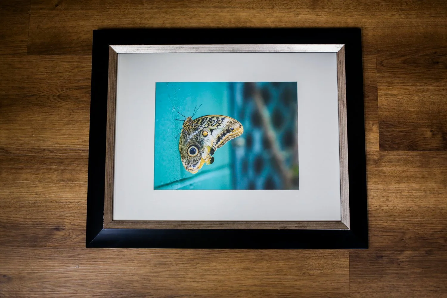 DE4DB7C3-734D-4C6C-9B45-ED14D7AB76DB