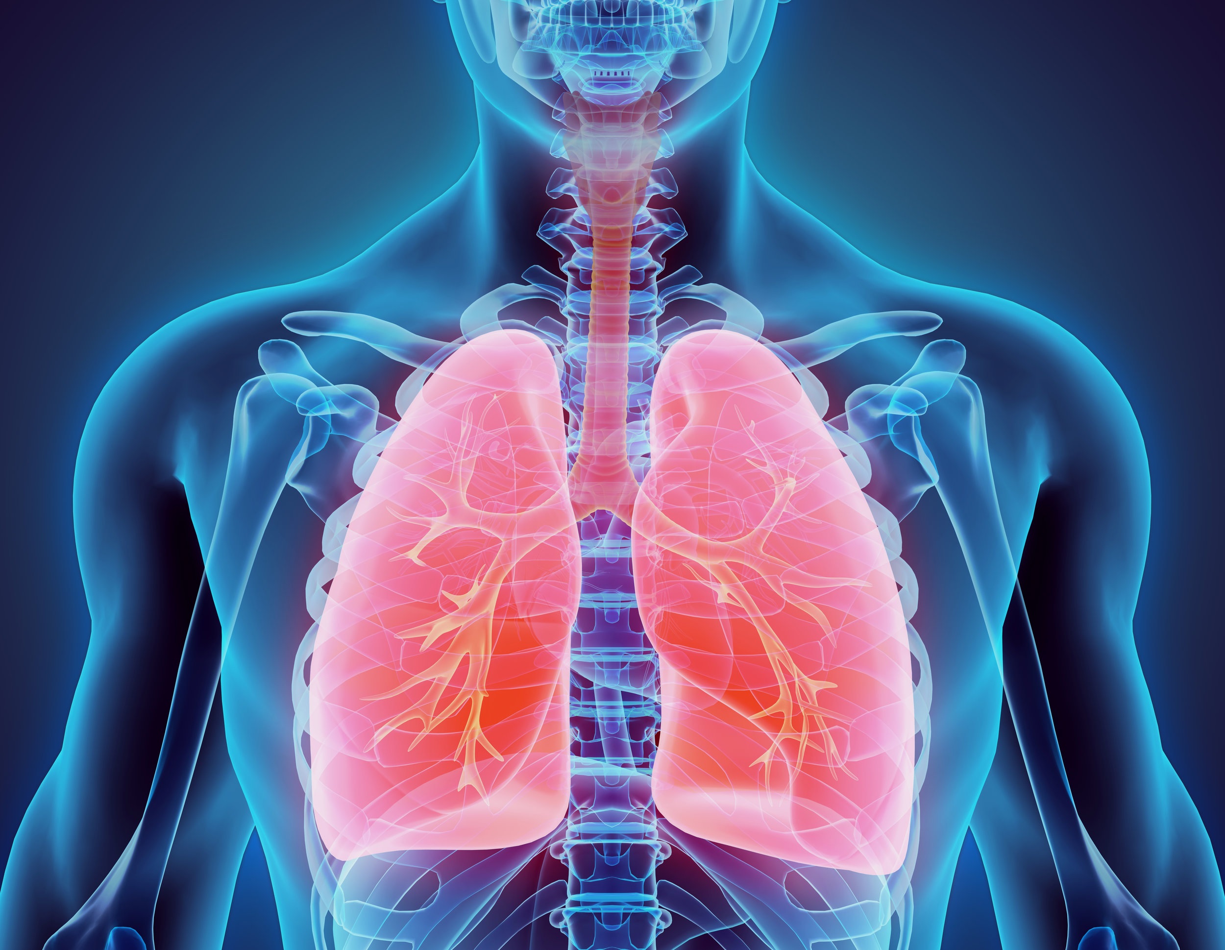 lungs.jpg