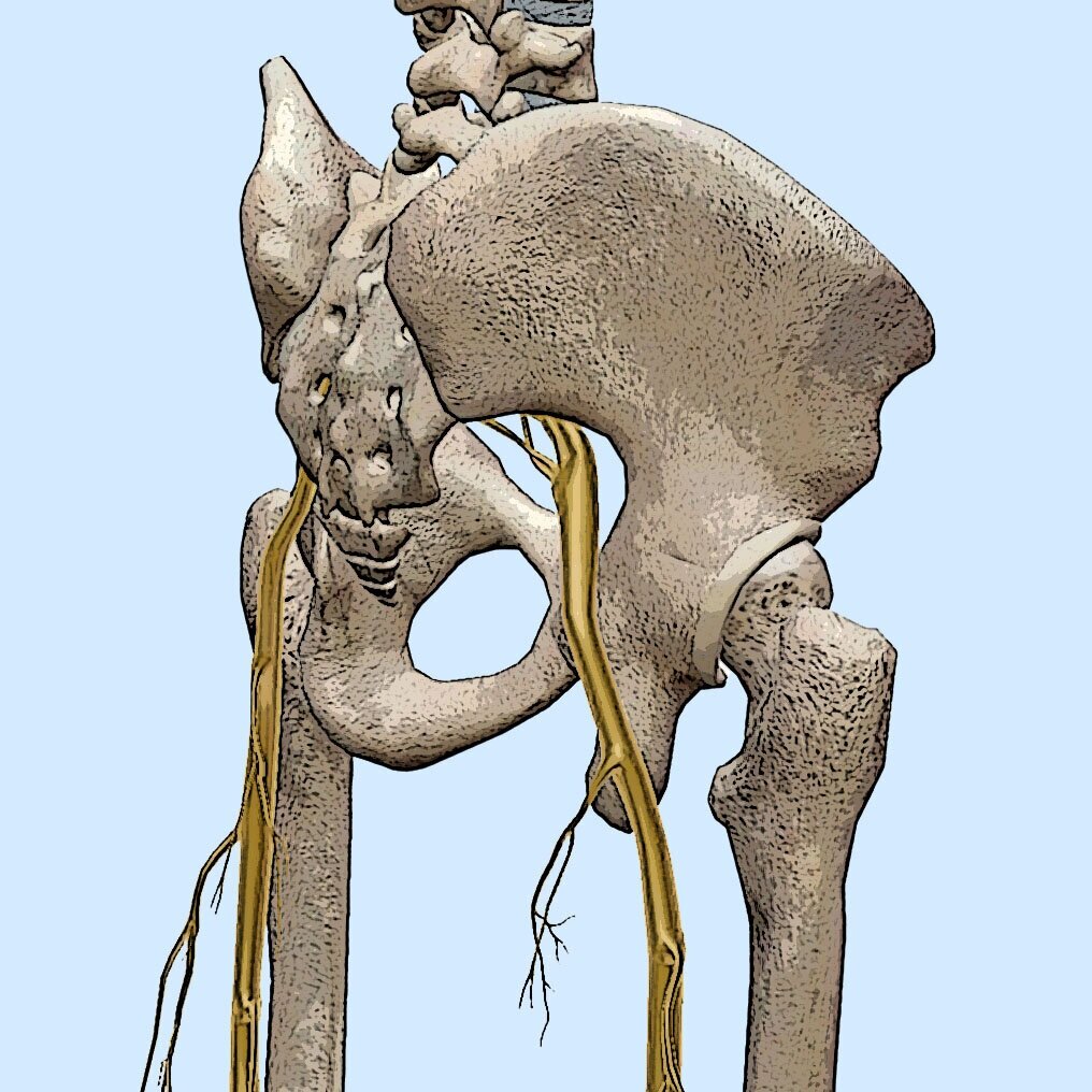Working with Sciatica