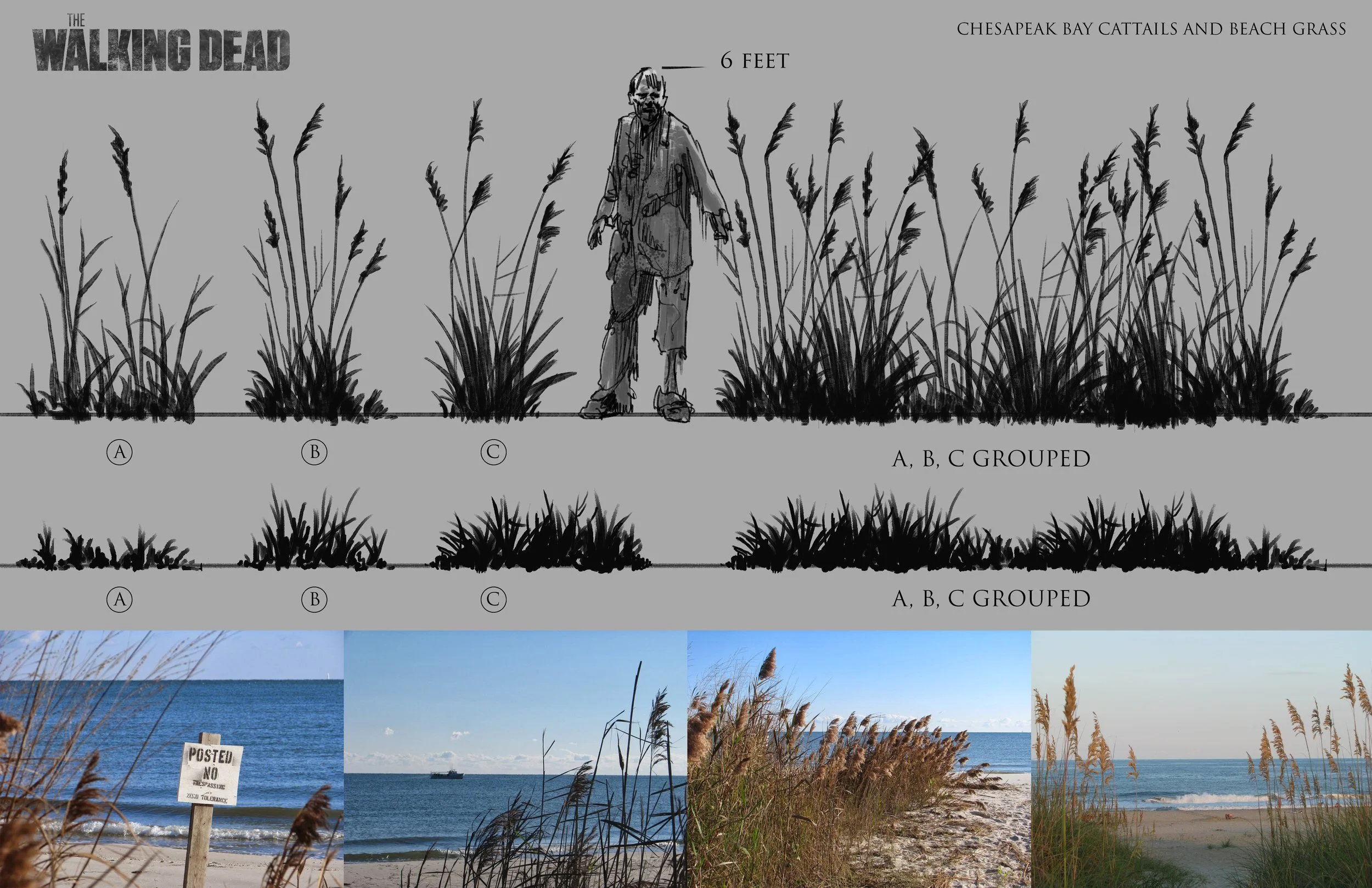 WD_Mini_Plants_Cattail_01a.jpg