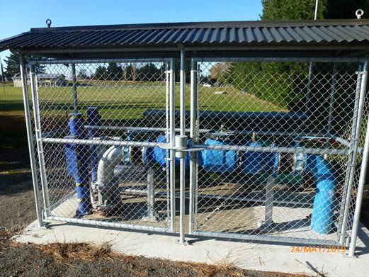 New backflow preventor and well head security cage