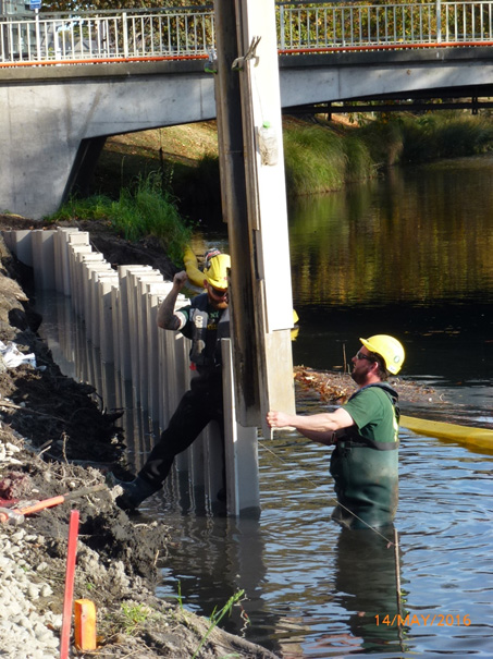 Two water rats at work