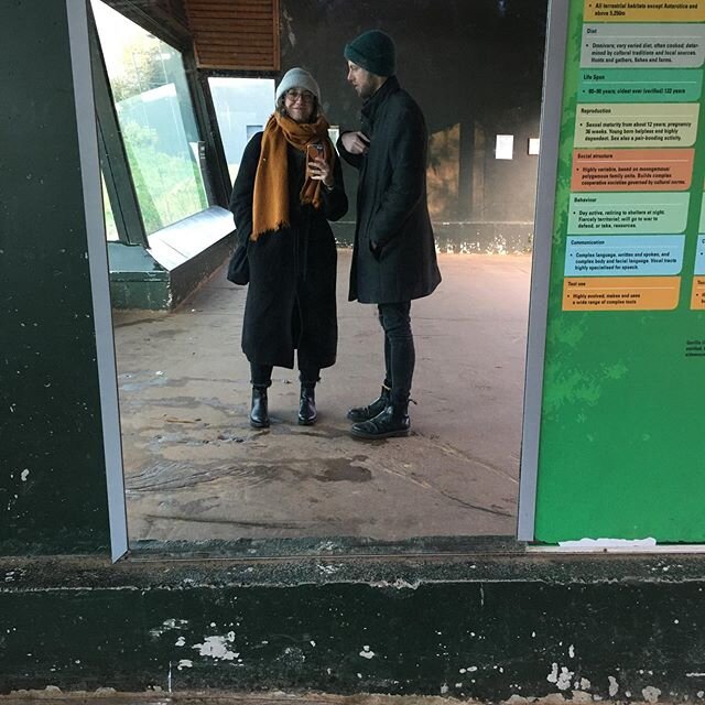 Christmas holiday in Dublin quick snaps.
Seeing humans in the zoo, tooting a horn with the horned guys, Francis Bacon&rsquo;s studio and next level Christmas jumper.
@emmablackburn97