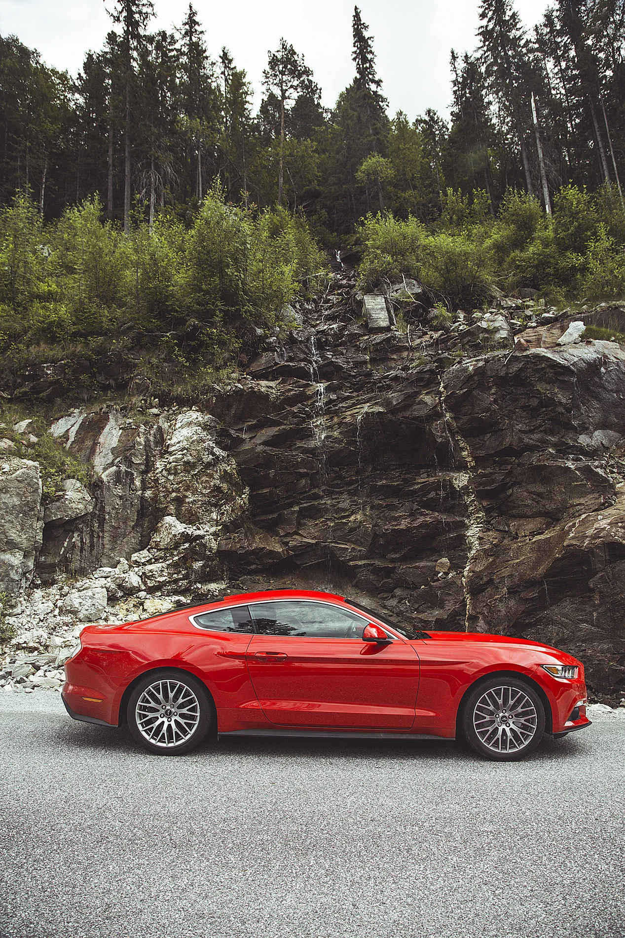 Automotive_021.jpg