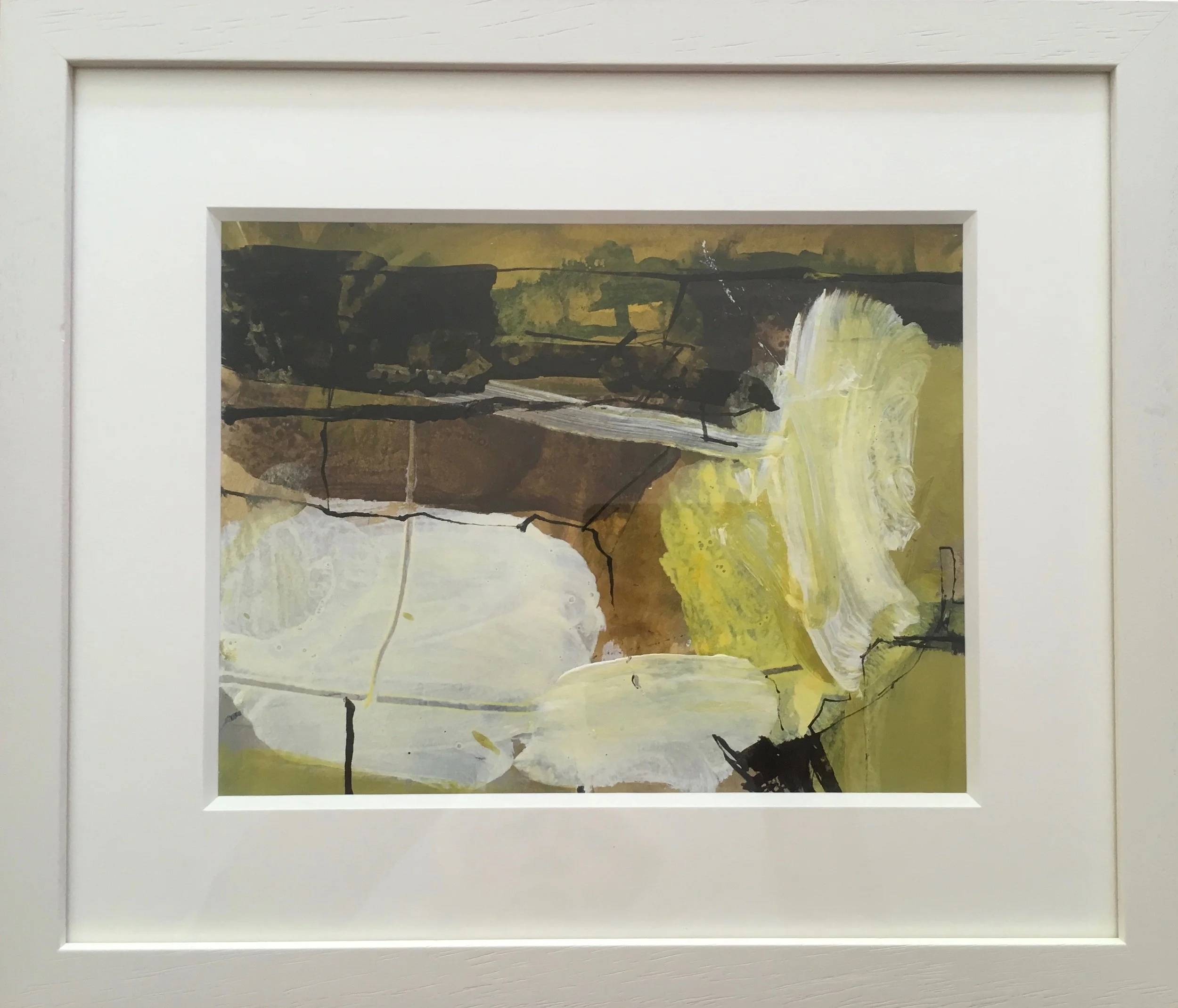 Yellow Herald in frame.jpg