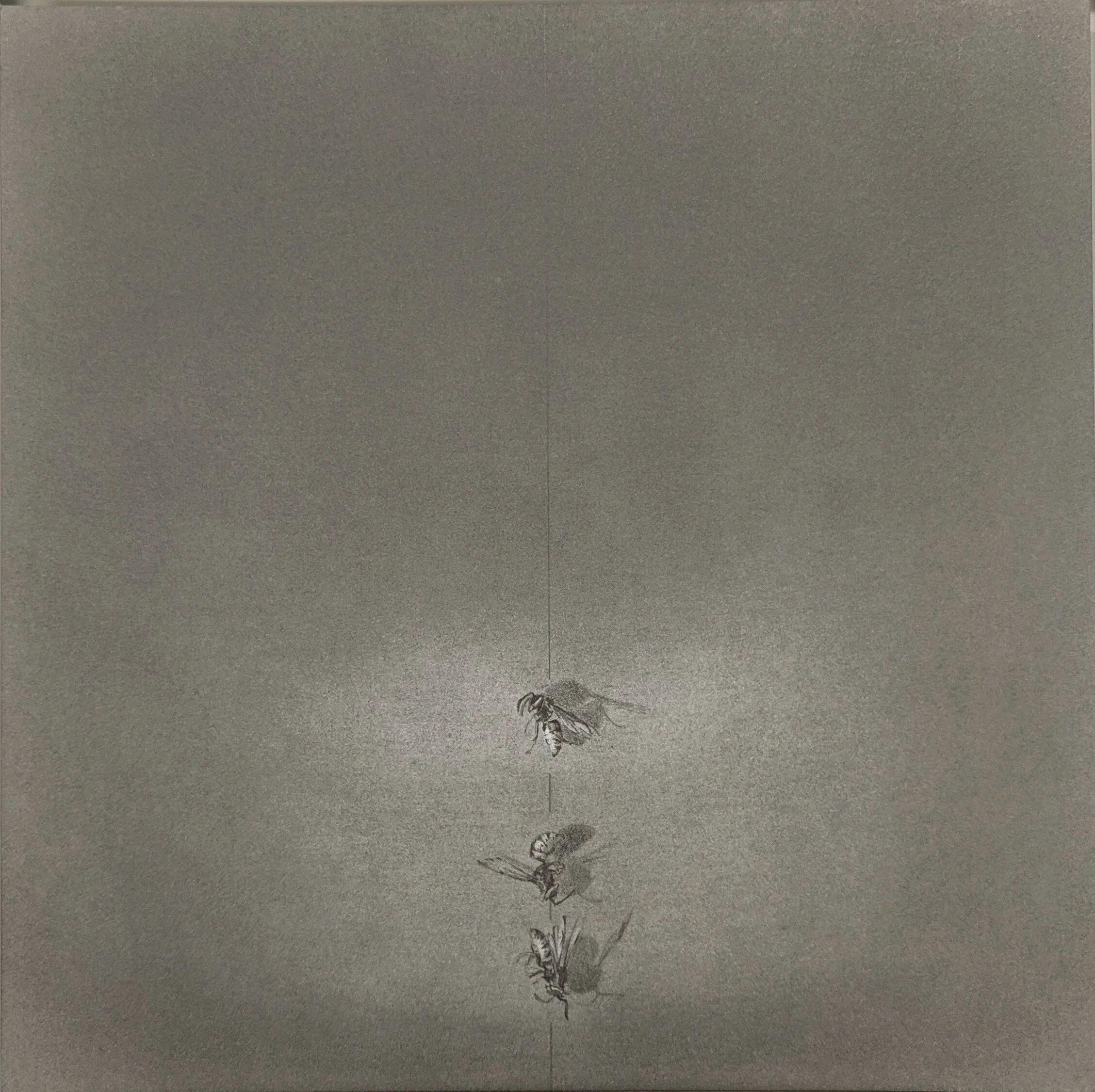 Louisa Crispin FlightPath xxxviii uf hr.jpg