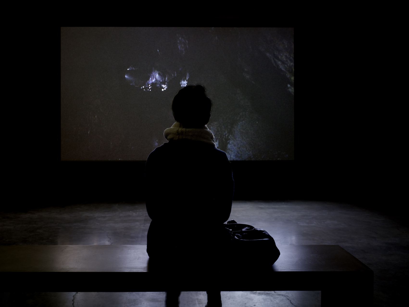 Vue de l’exposition de Laurent Pernot “Ruée vers la perdition”, Palais de Tokyo. Sam Art Projects. Photo André Morin.