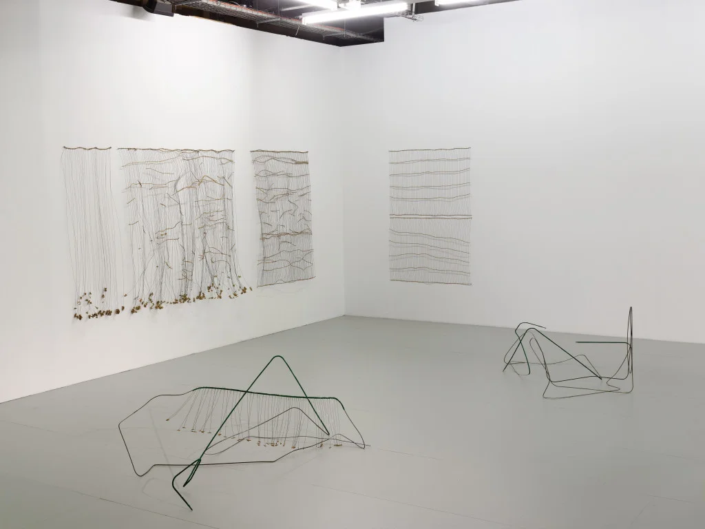 Vue de l’exposition de Bronwyn Katz, « A silent line, lives here »