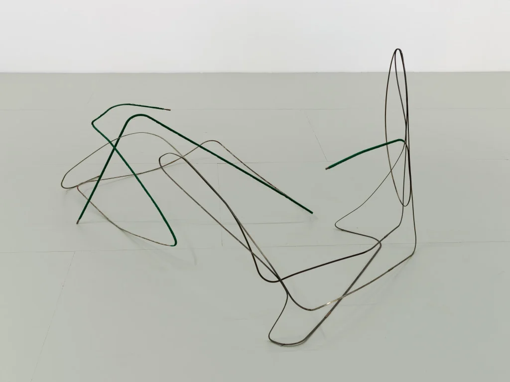 Vue de l’exposition de Bronwyn Katz, « A silent line, lives here »