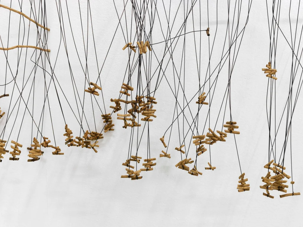 Vue de l’exposition de Bronwyn Katz, « A silent line, lives here »