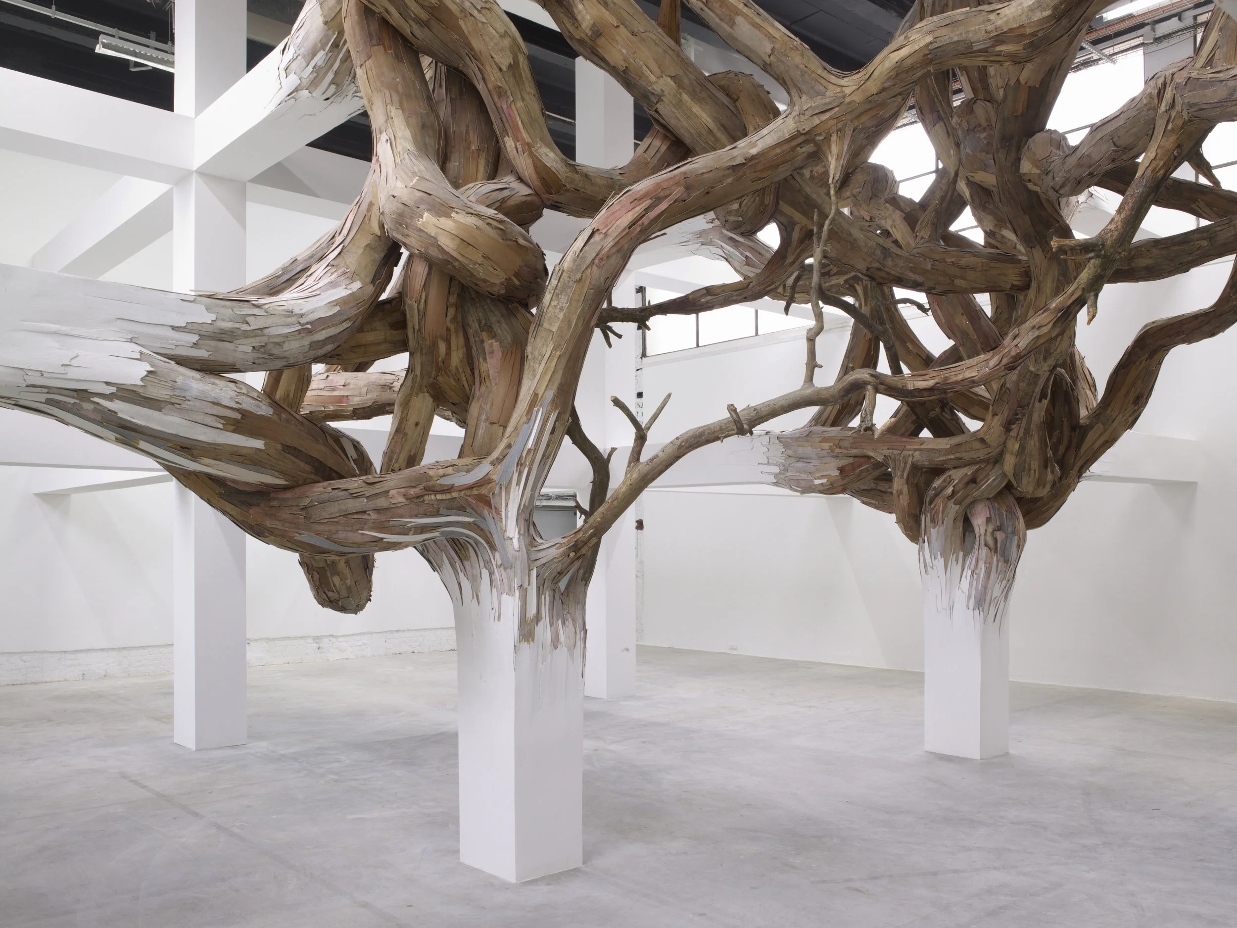 Vue de l’exposition de Henrique Oliveira, “Baitogogo”. Palais de Tokyo.