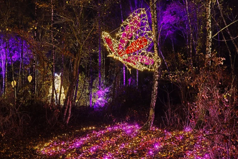 Magischer_Wald_der_Tiere9.jpg