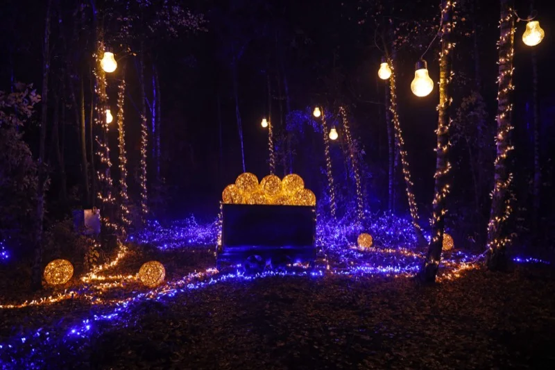 Wald_der_blauen_Blumen5.jpg