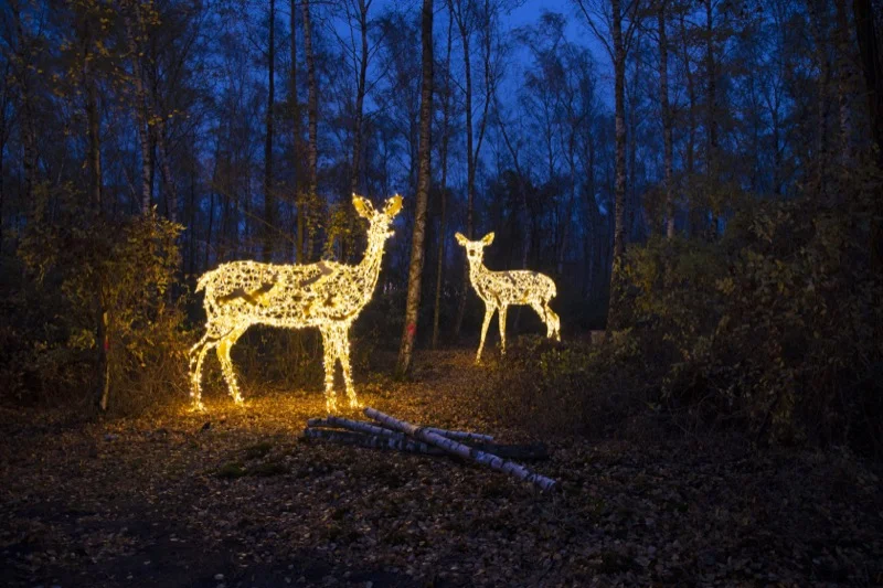 Magischer_Wald_der_Tiere6.jpg