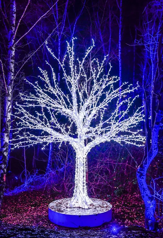 Wald_der_blauen_Blumen2.jpg
