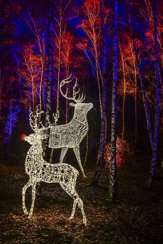 Magischer_Wald_der_Tiere4.jpg