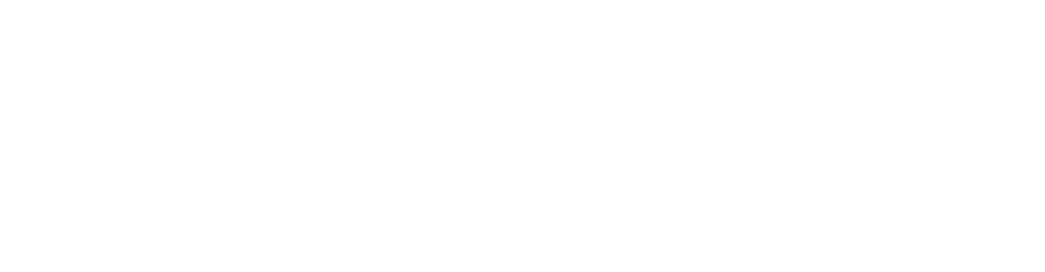 Storm Dunder