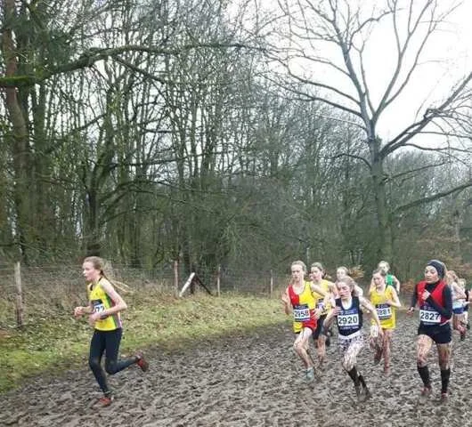 InterCounties, Surrey Half & a couple of Ultras
