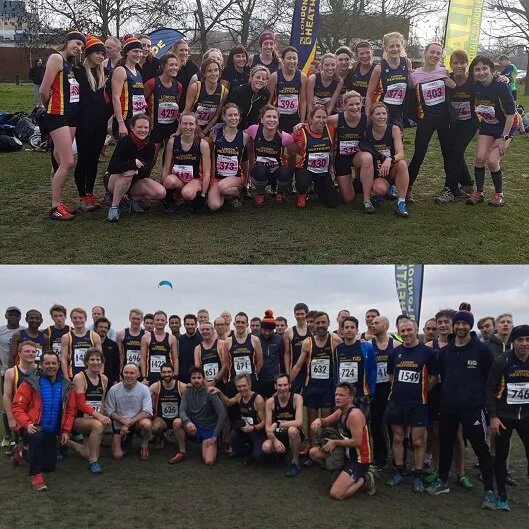 Heathside scrub up well 