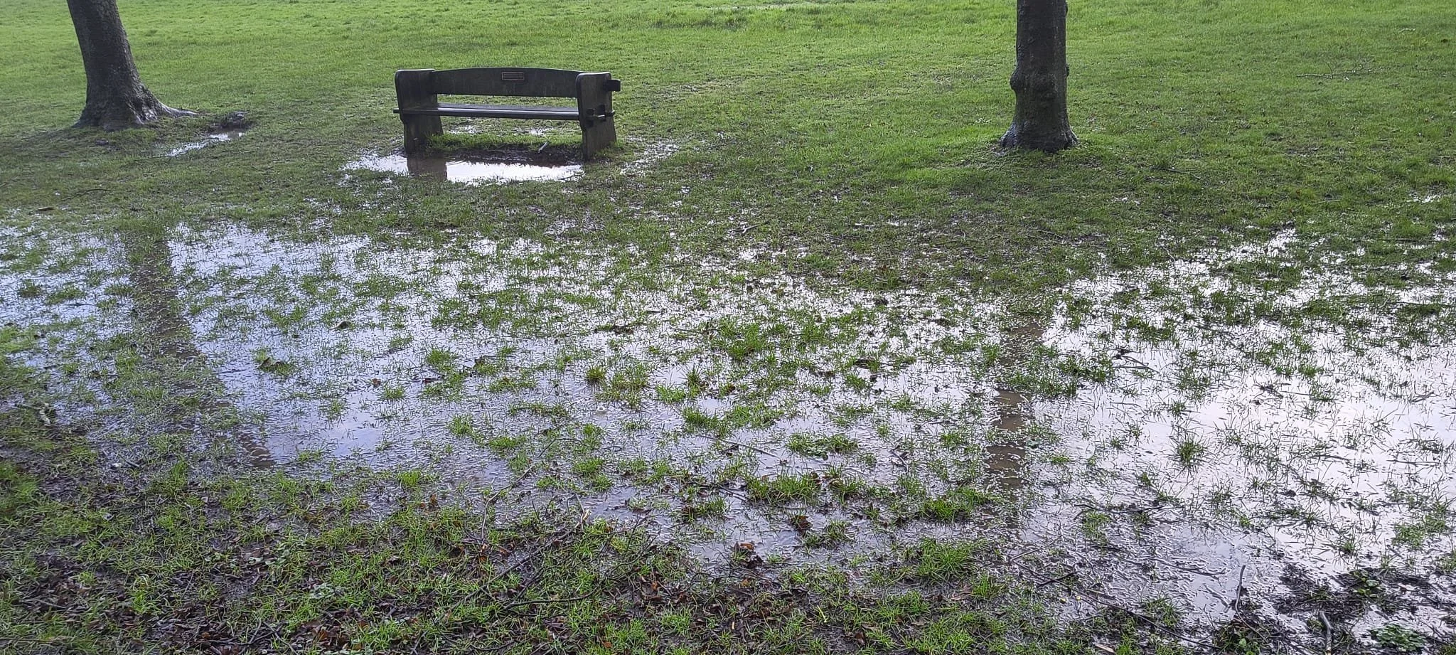 Vaxjo International, Sheffield indoor championships and a win in Battersea 