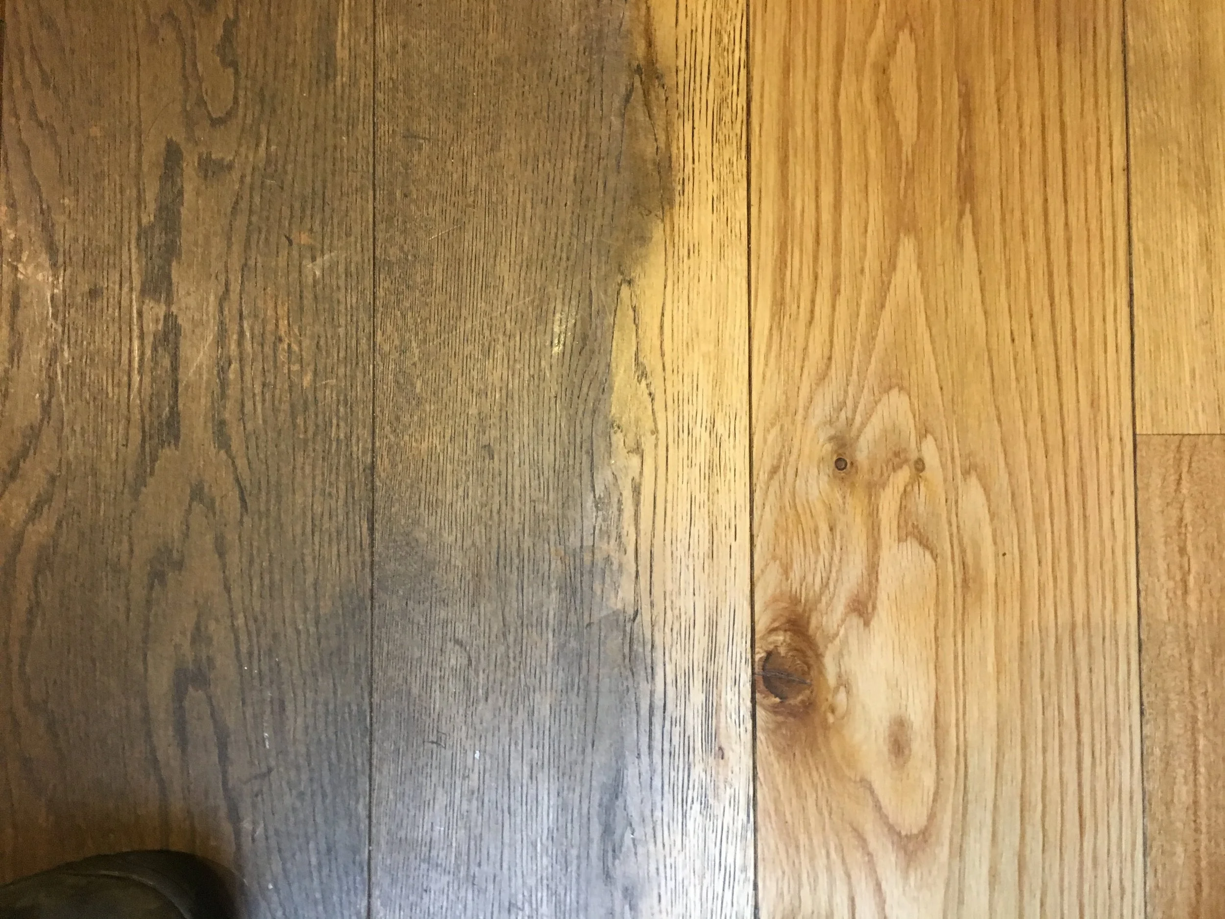 How To Care For Your Wood Floor Colltec Soltuions Ltd