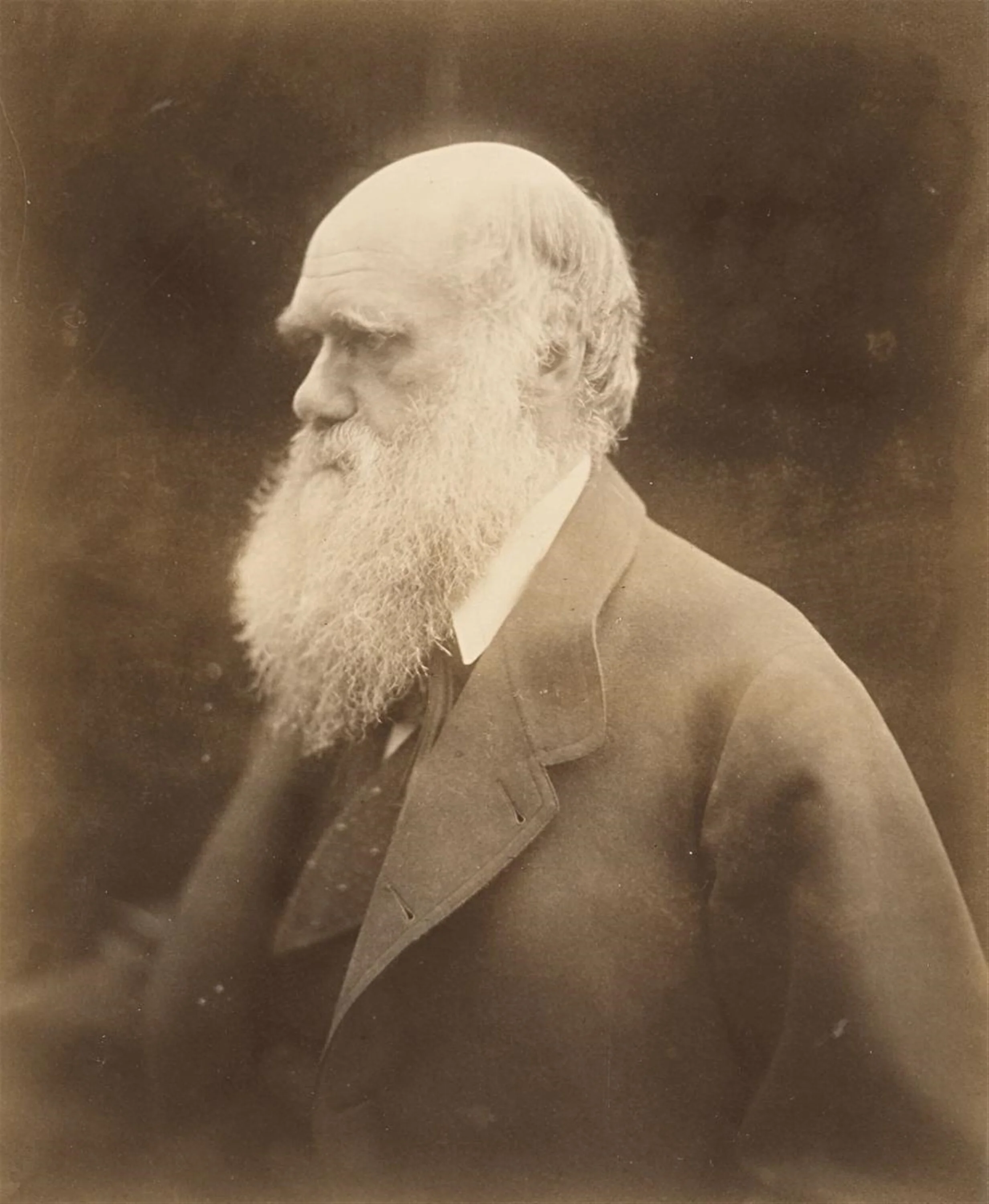 Lempertz-941-8-Photography-Julia-Margaret-Cameron-CHARLES-DARWIN.jpg
