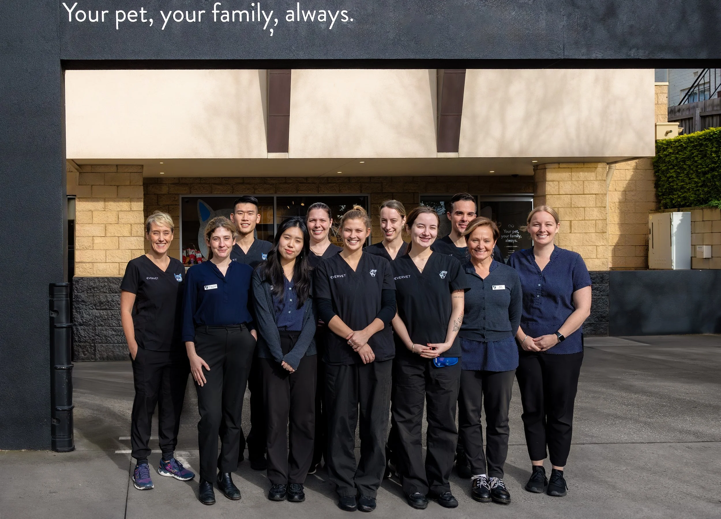 Veterinarian & Vet Nurse Jobs Melbourne — Evervet