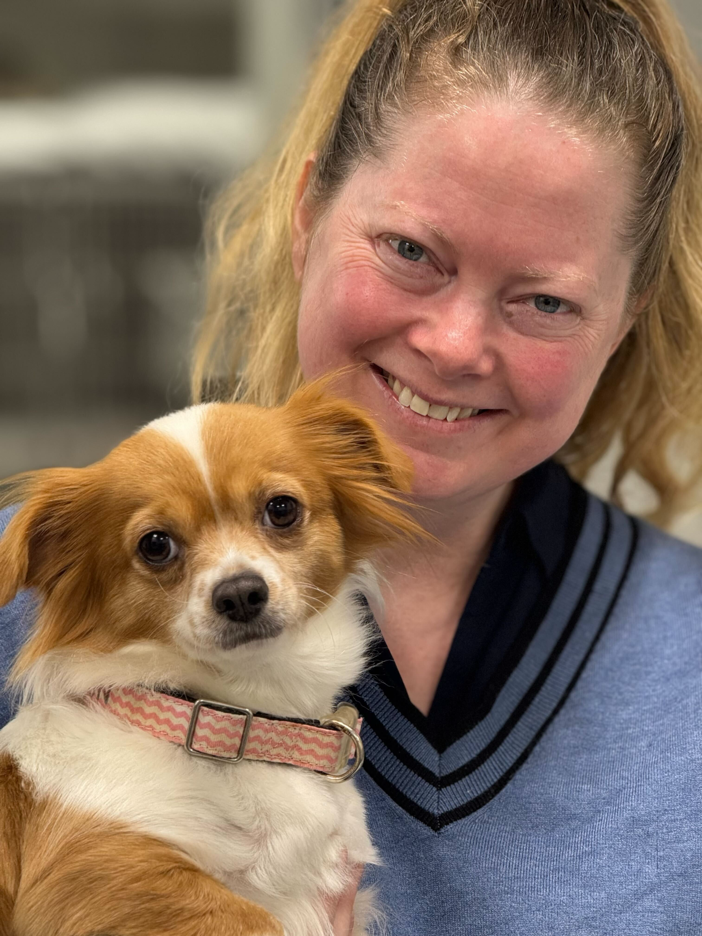 Evervet Supports Pets Of The Homeless