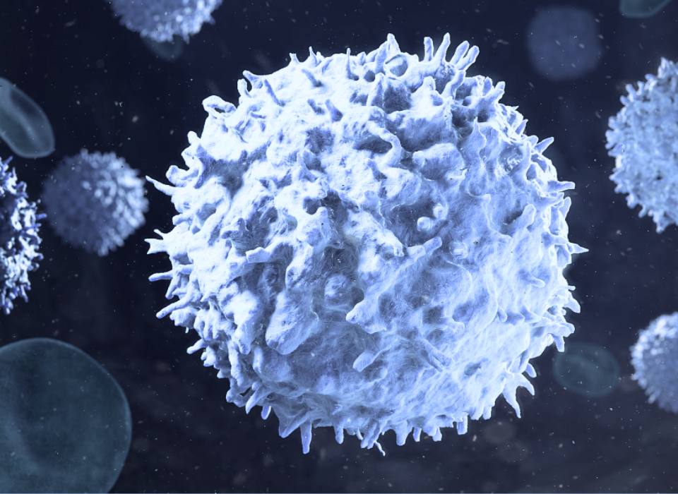 Finding Cancer Early: A New Test Changes the Game