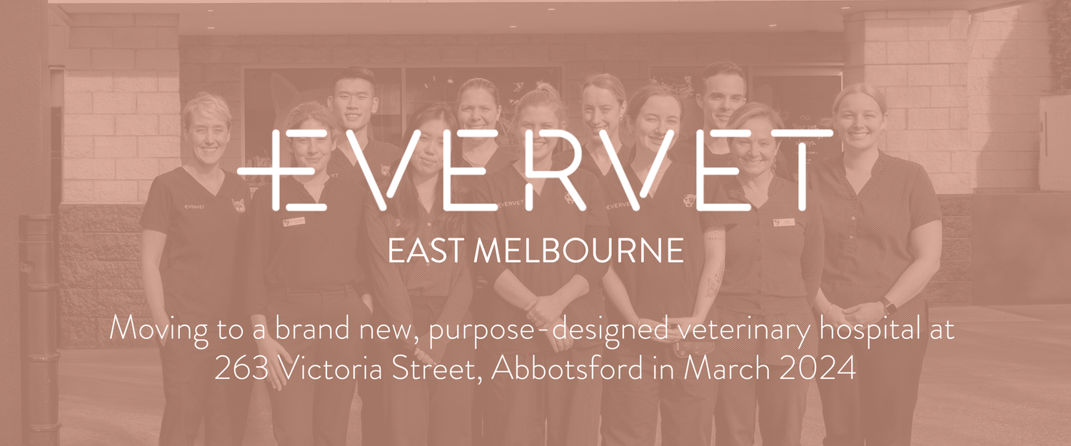 Evervet East Melbourne Clinic New Location — Evervet