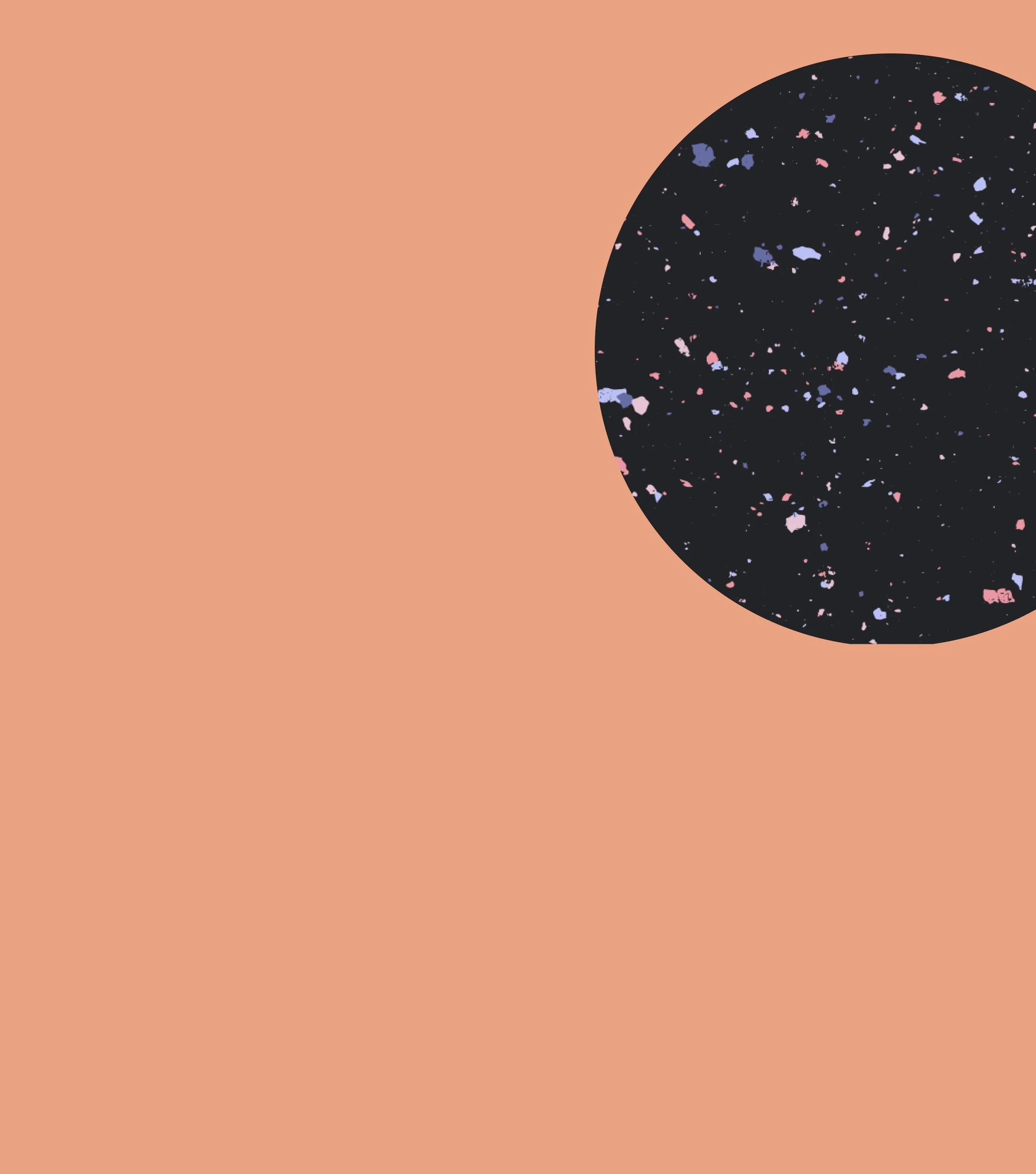 Big BG orange w circle.jpg