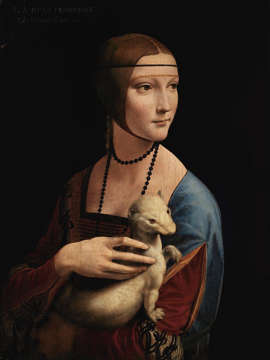 Leonardo (c. 1489)