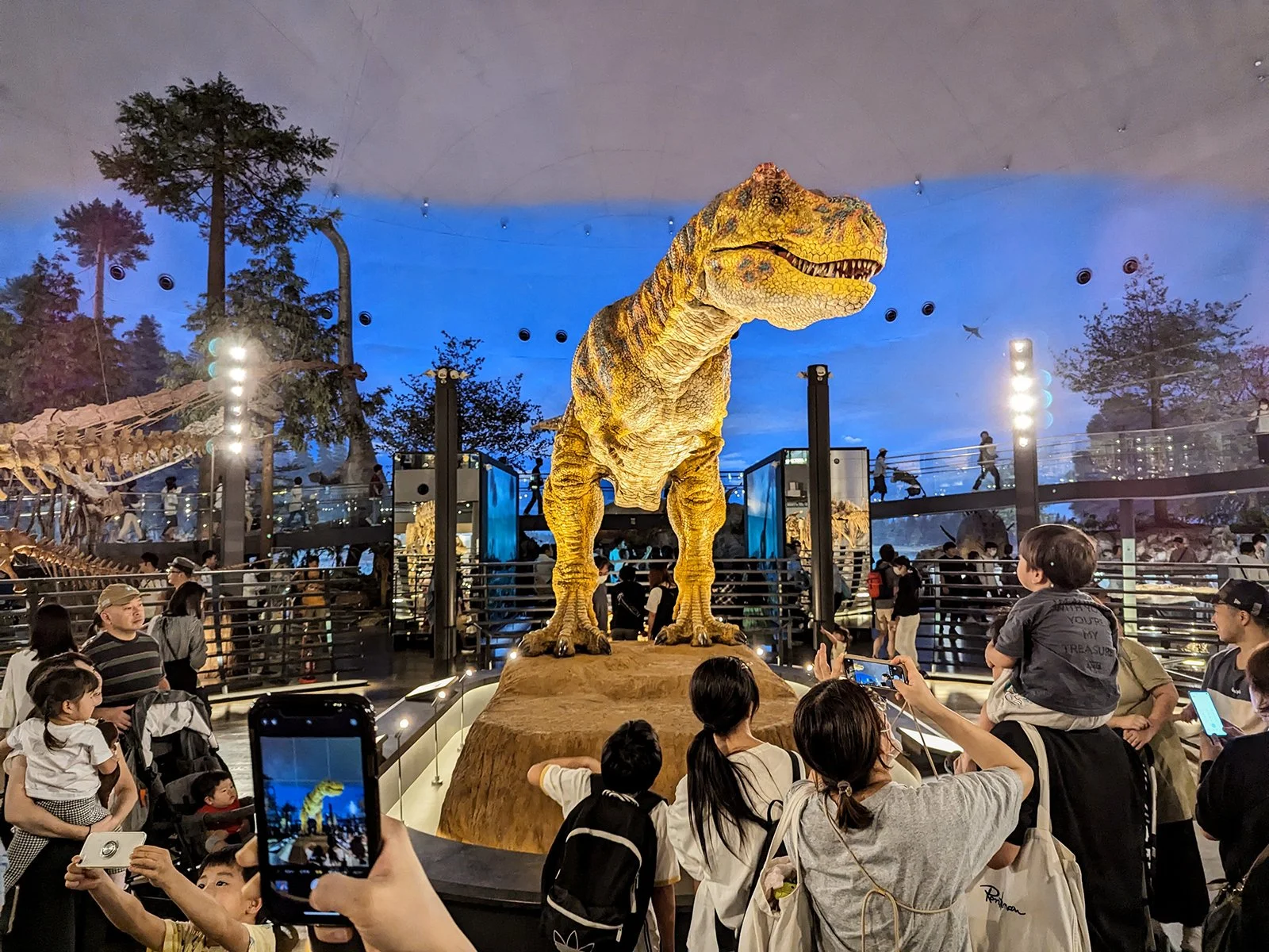 The Updated Fukui Prefectural Dinosaur Museum — Danny With Love