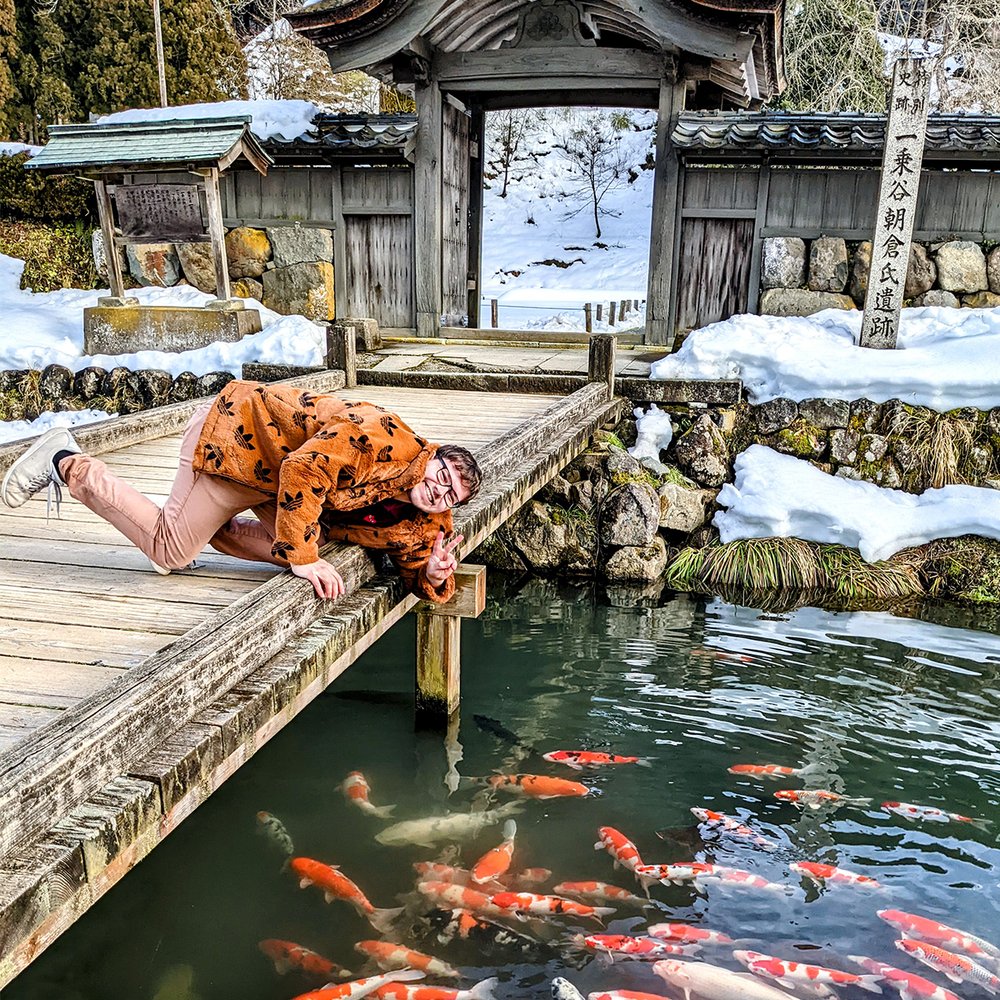  Posing with koi (fish) at Karamon (Gate), symbol of Ichijodani Asakura Clan Ruins, Fukui Prefecture, Japan (2022). 