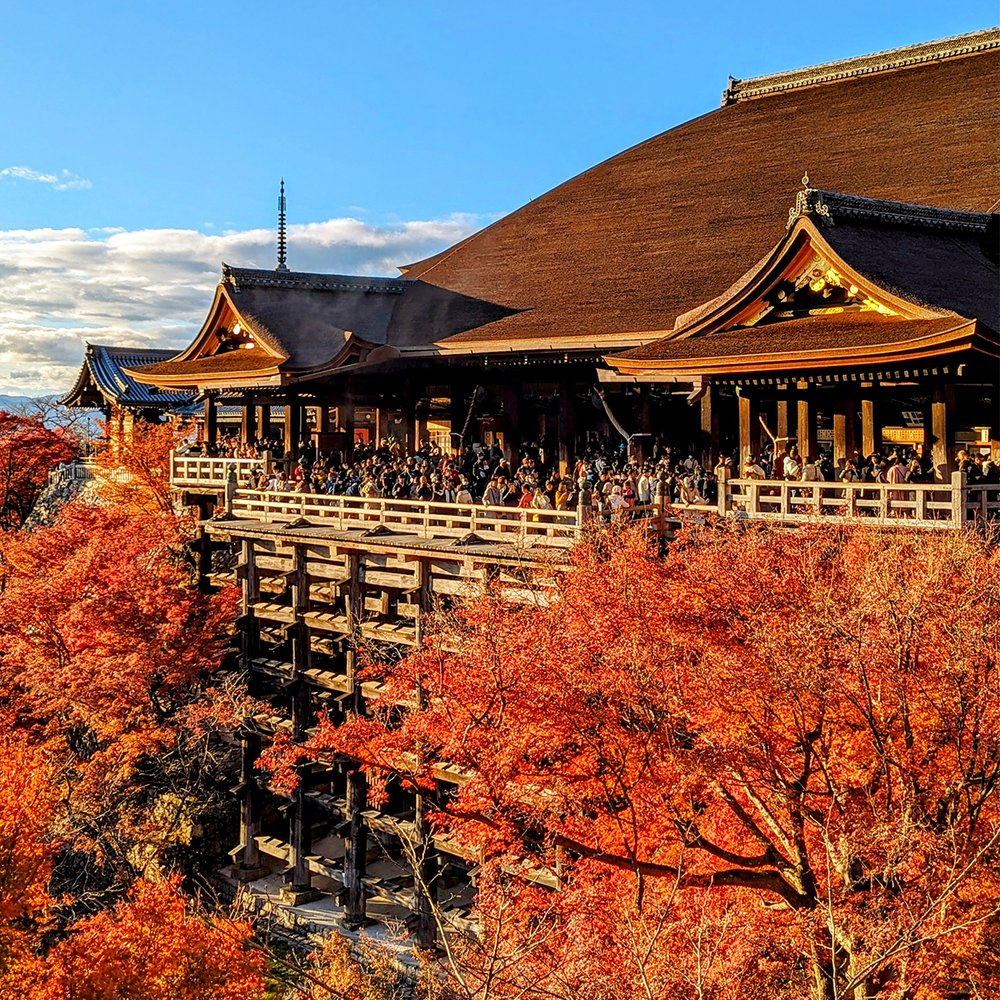  Fall view of the main stage at Kiyomizu-dera (“Pure Water Temple”), Kyoto, Japan (2023). Photo by Danny With Love. 