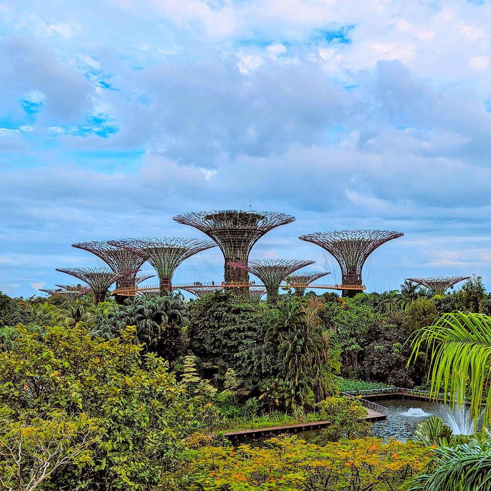  View of the Supertree Grove from Marina Bay Sands, Singapore (2023). Photo by Danny With Love. 