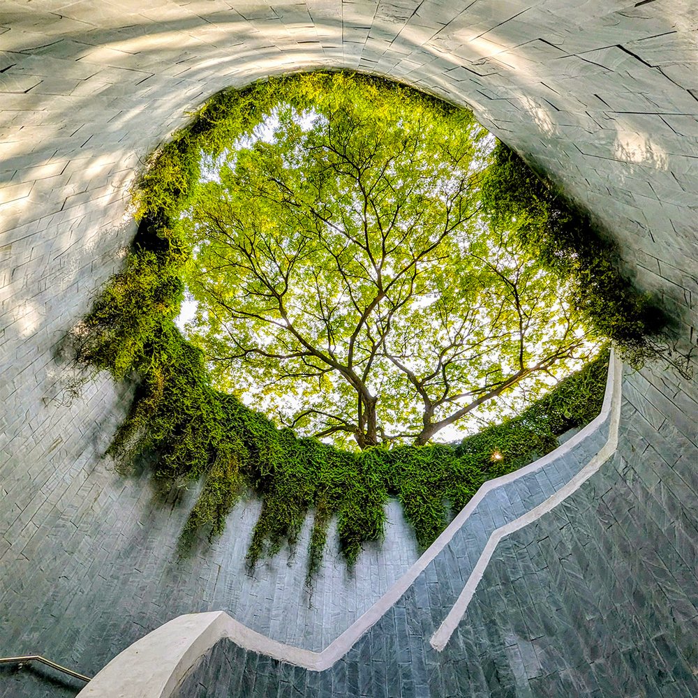 Tree Tunnel at Fort Canning Park, Singapore (2023). Photo by Danny With Love. 