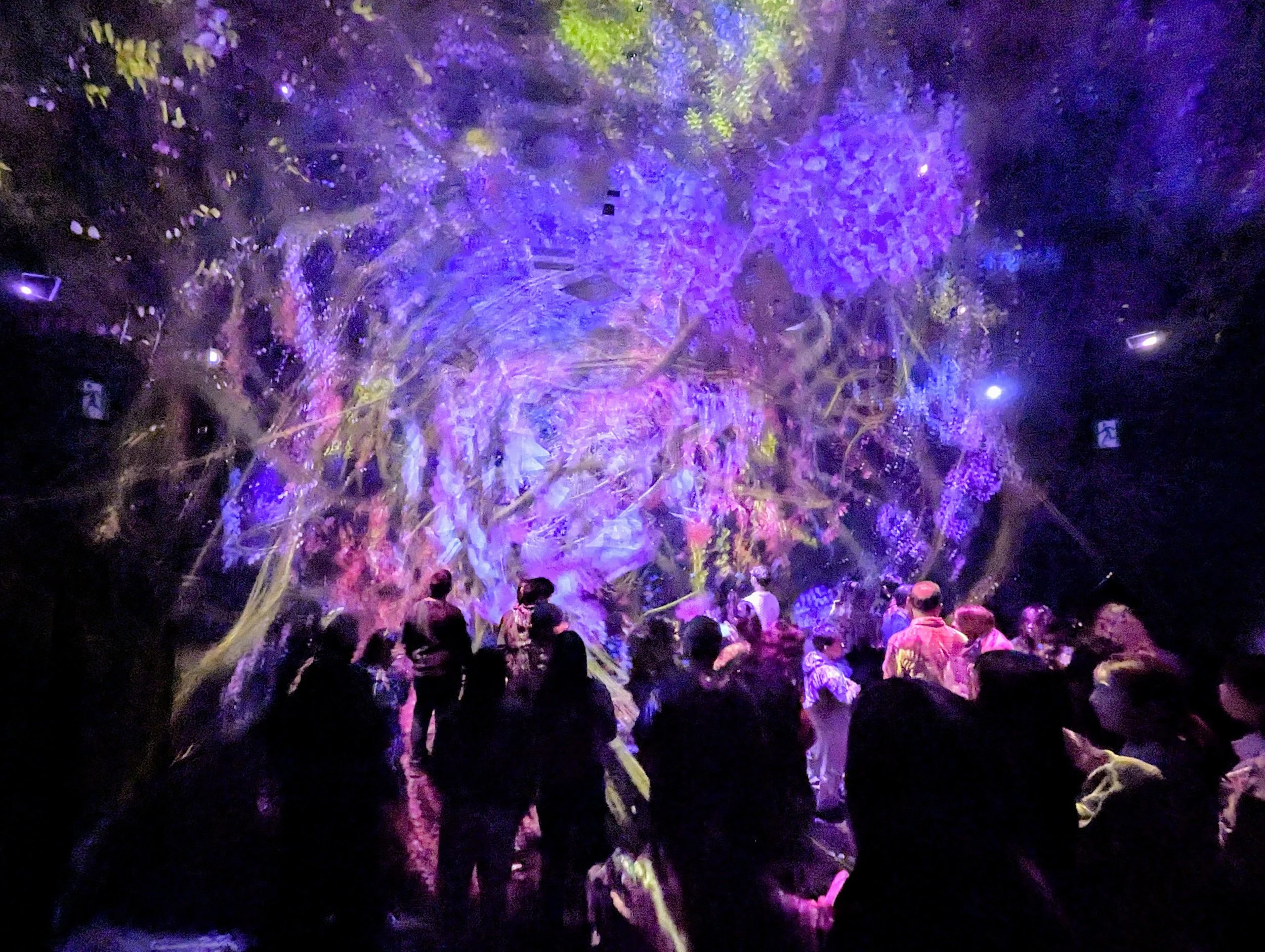 Teamlabs Vortex First Look: TeamLab Biovortex Kyoto — Danny With Love