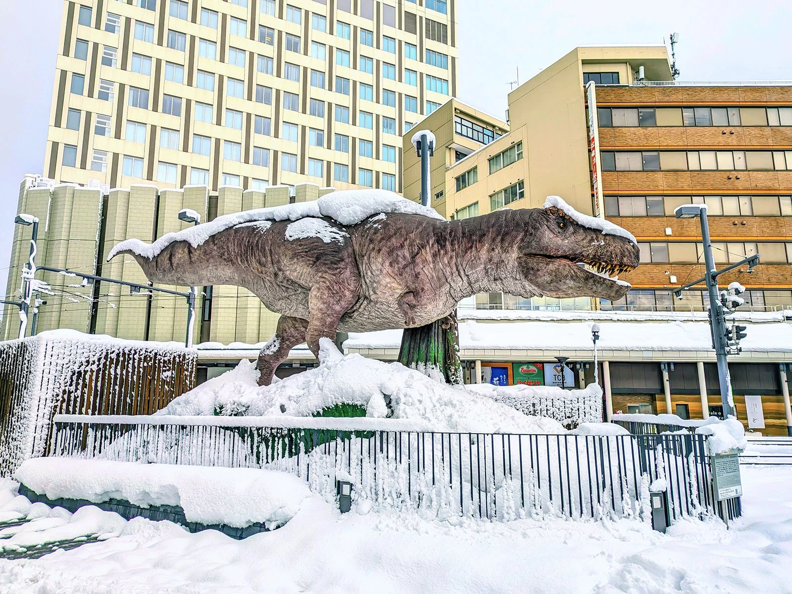 Trex Dino Snow.jpg