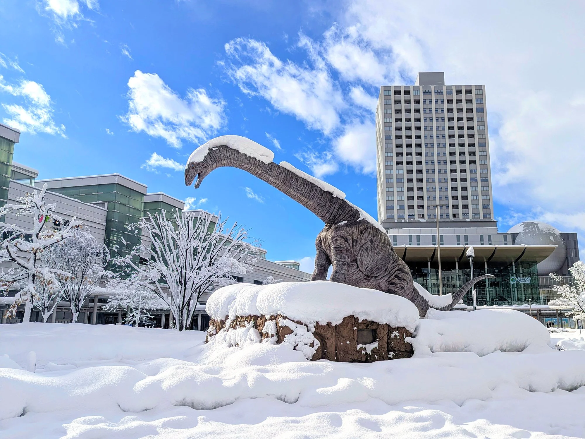In Photos: Snow Hits Fukui Station Dinosaurs
