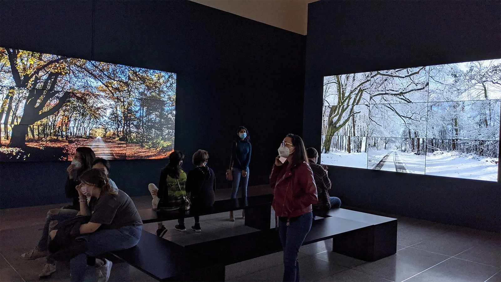 Installation view of The Four Seasons, Woldgate Woods, 36 digital videos, by David Hockney (2010–11). Photo by Danny With Love.