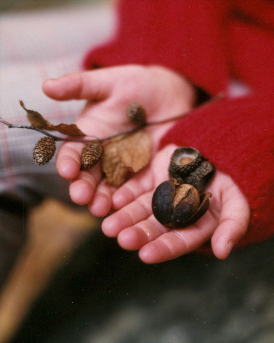 MarthaStewartKids_FallHike_MollyFitzSimons_PropStylist.jpg