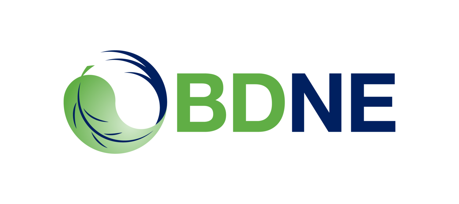 BDNE Inc.