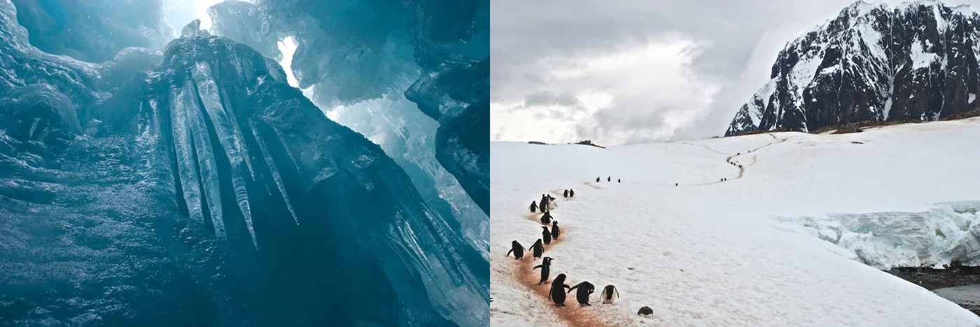 Winner: Crevasse ; Highly Commended: Gentoo Trail