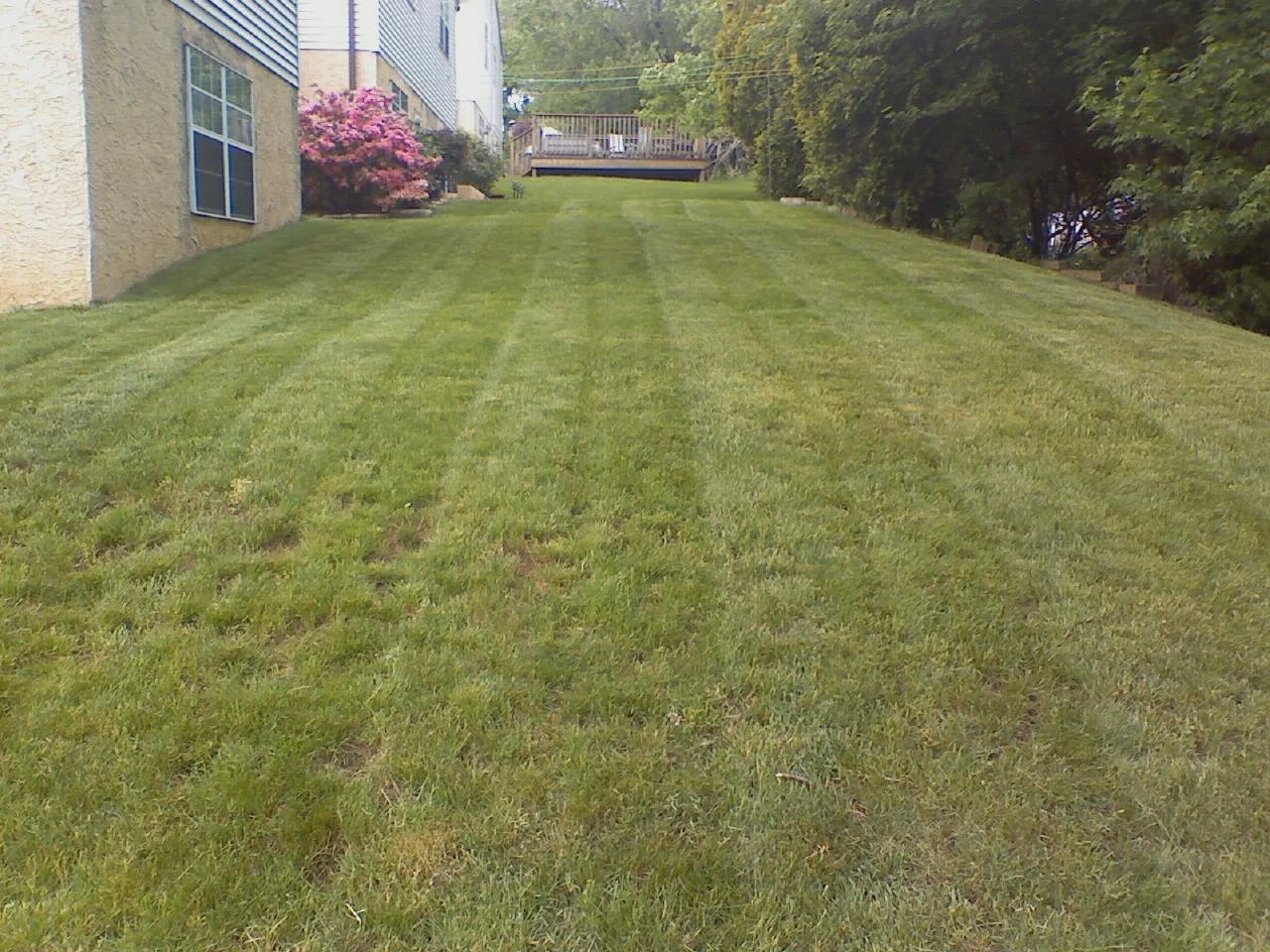 downsized_0517091713.jpg